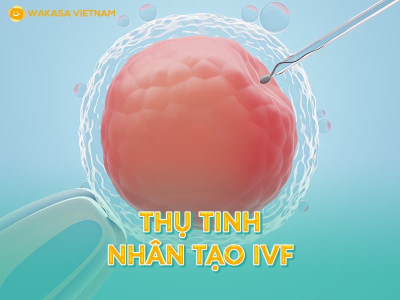 Thụ tinh nhân tạo IVF 800x600